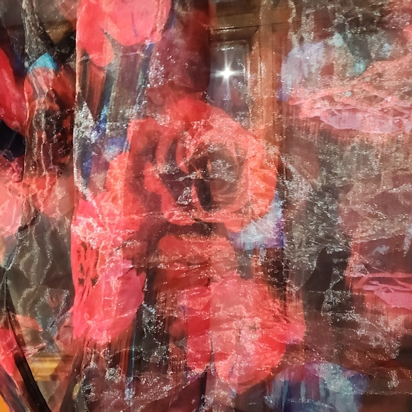 Torrid 4X floral red and black organza puff sleeve top - Picture 3 of 4